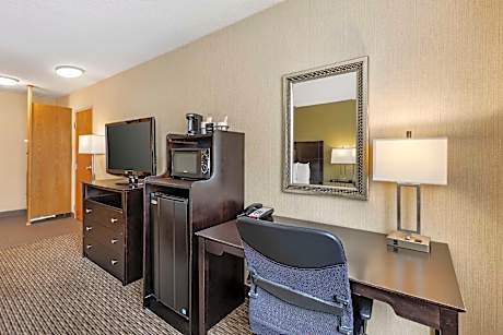 King Room - Pet Friendly/Non-Smoking