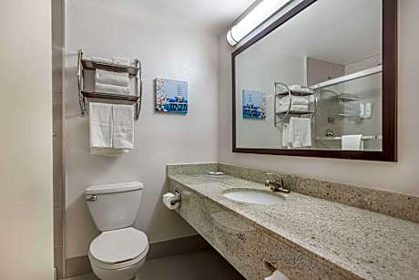 1 King Bed Suite Nonsmoking