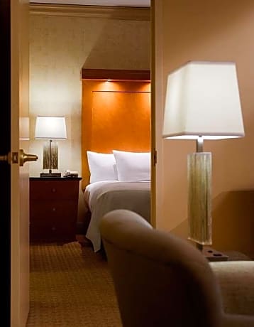 One-Bedroom King Suite