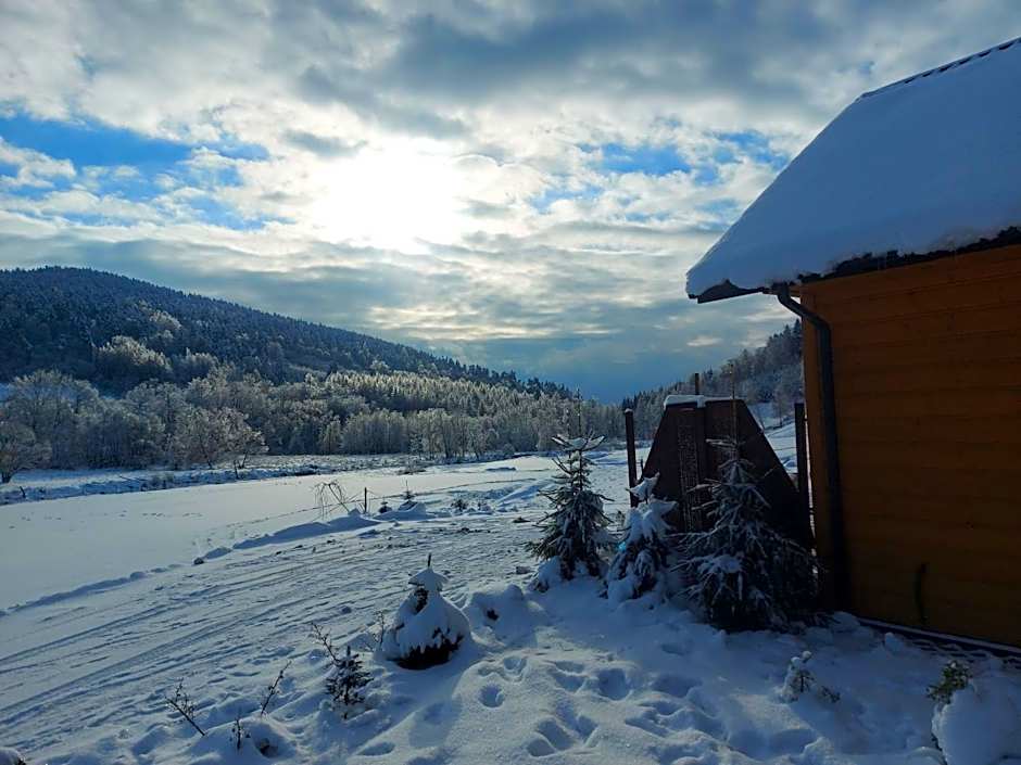 Domki pod Bukowym Lasem