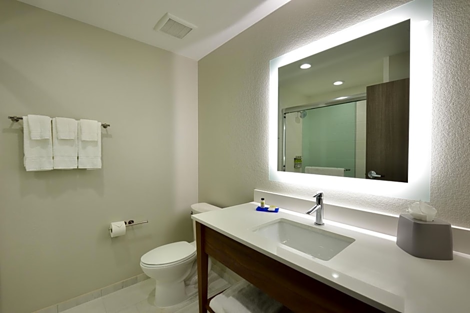 Holiday Inn Express & Suites Spring - Woodlands Area