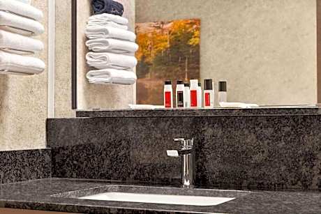 Deluxe Queen Suite - Non-Smoking