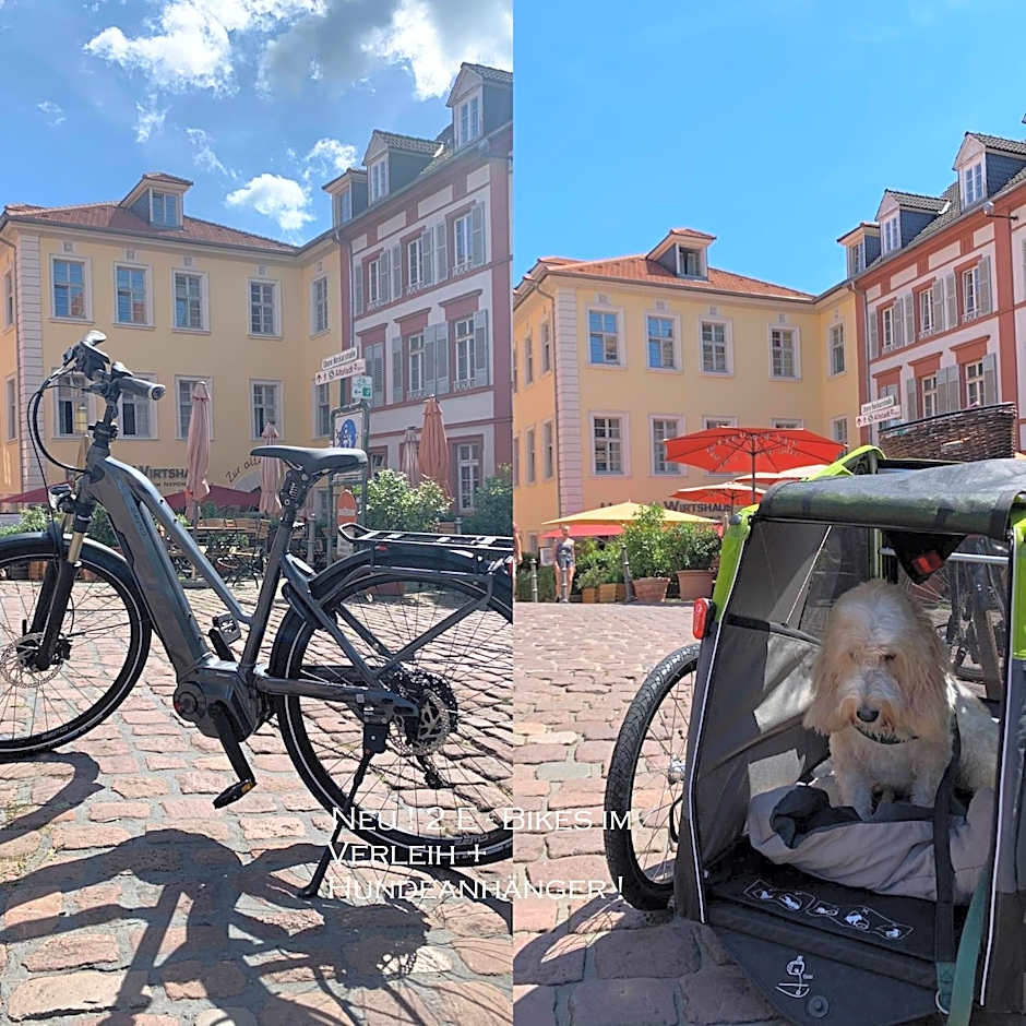 Hotel Zur Alten Brucke