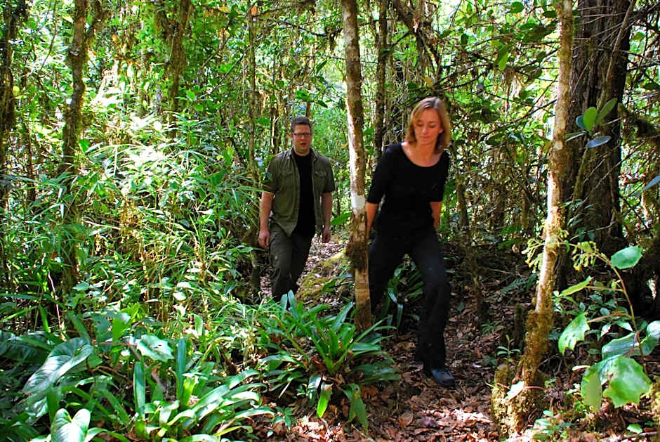 Dantica Cloud Forest Lodge