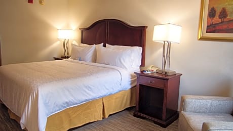 1 KING BED WITH JACUZZI TUB NONSMOKING