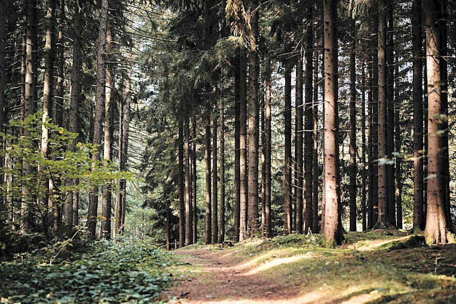 Sonnenhotel Hoher Hahn