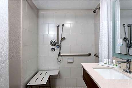 1 King Bed Mobility/Hearing Impaired Accessible Room Non-Smoking