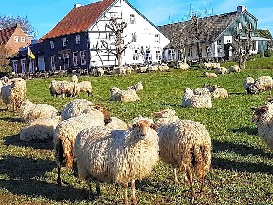 Hotel,Herberg & Appartementen de Smidse