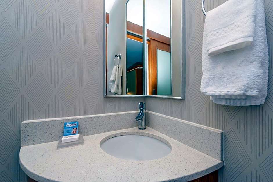 SpringHill Suites by Marriott Huntsville Downtown