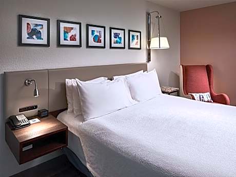 1 King Bed Junior Suite With Sofabed