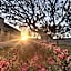 Don Agostino Relais Masseria