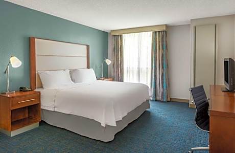 One-Bedroom King Suite with Sofa Bed - Non-Smoking