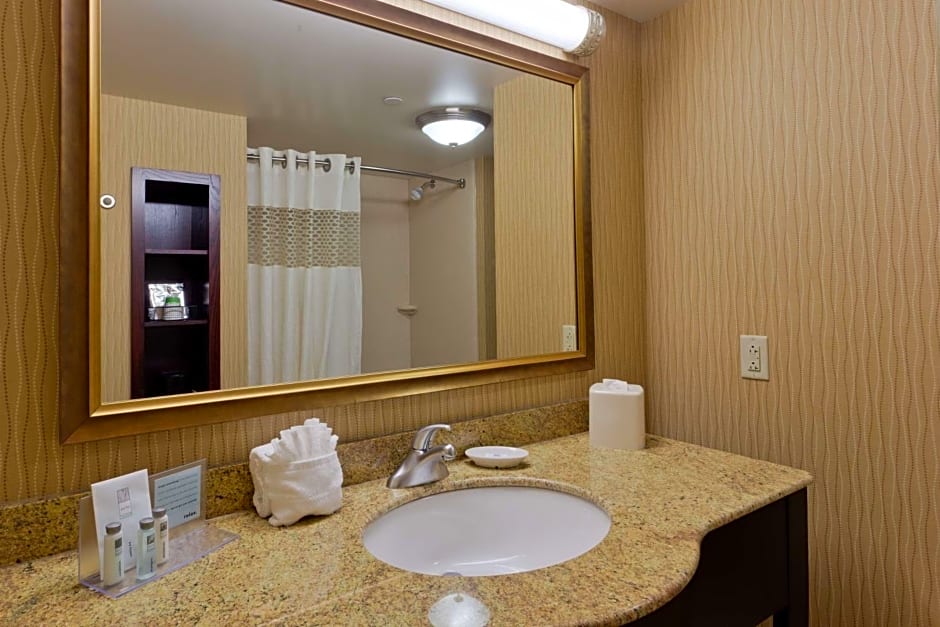 Hampton Inn By Hilton Rochester-Webster