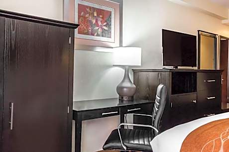 King Room with Roll-In Shower - Accessible/Non-Smoking