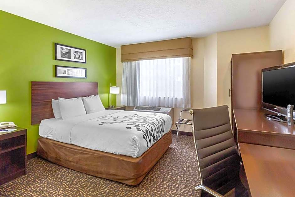 Photo 1 of 5 of 1 Queen Bed