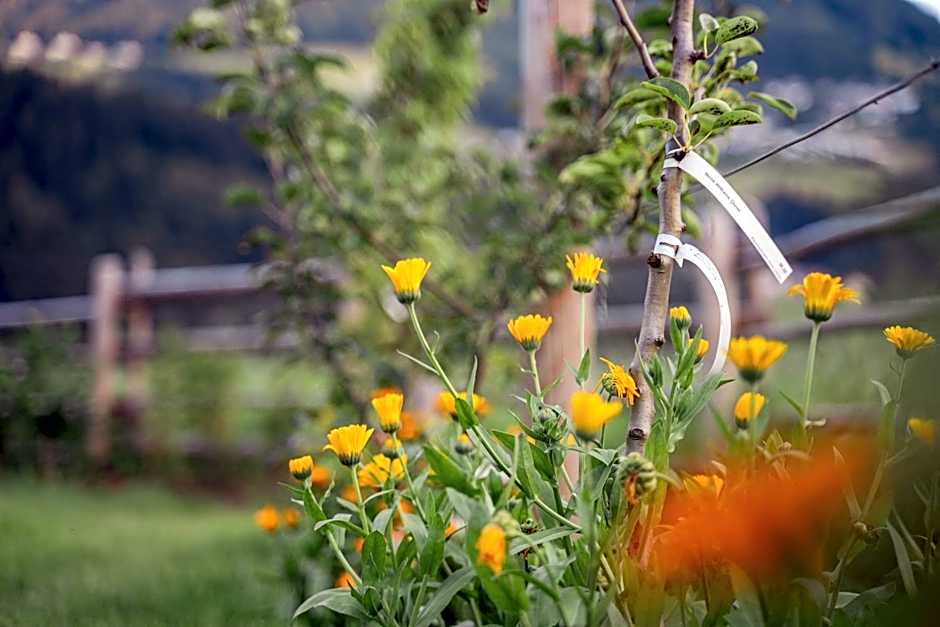 Wohlfühl Ferien-Heim Aparthotel 4 Sterne