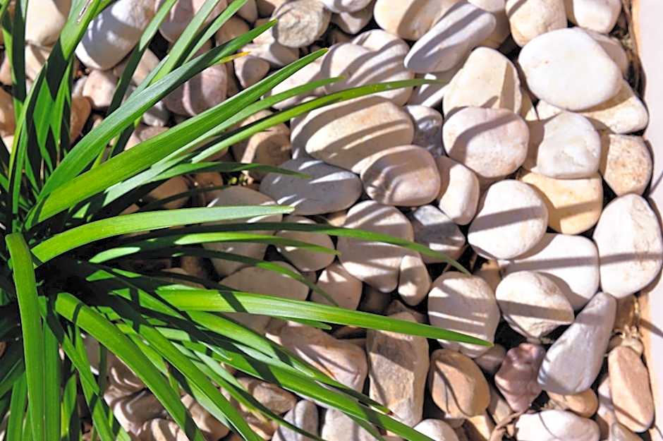 Beachwalk Bed and Breakfast - #Solar Energy #No Loadshedding