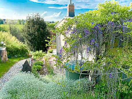 Weinquartier Kalter Hügel