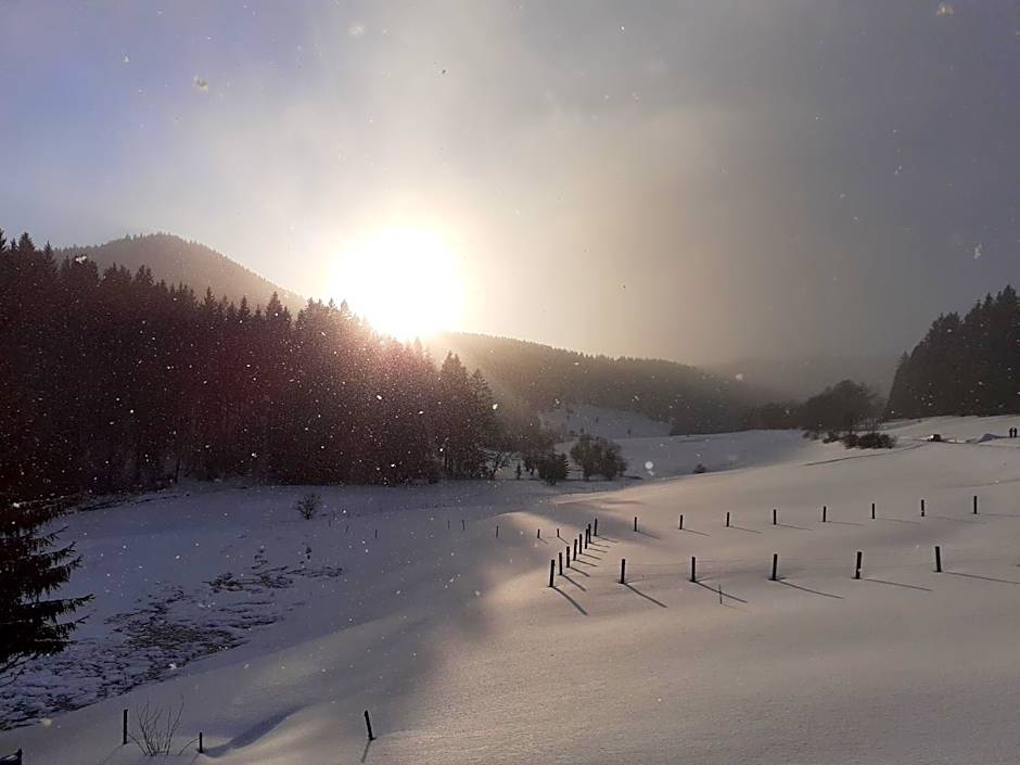 Appartements und Ferienhaus Gasthof Kanzlersgrund