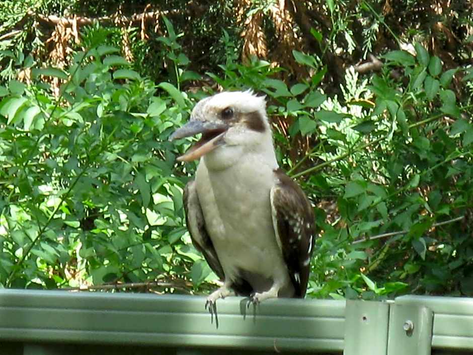 Edgewater Holiday Park