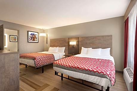 2 Queen Beds Mobility Accessible Studio Suite Roll-In Shower Non-Smoking