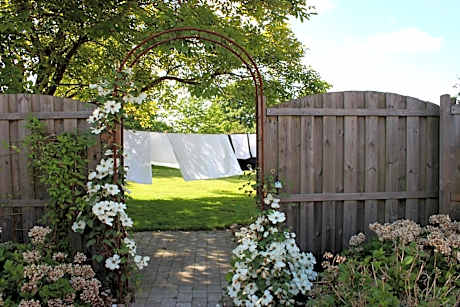Safine B&B