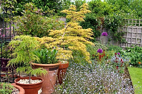 Laurels Guesthouse