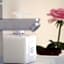 GUEST HOUSE KADOYASU - Vacation STAY 81993v