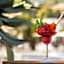 Radisson Resort & Residences Tenerife - Adults Only