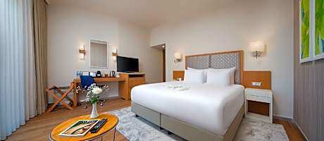 Standard Room - Accessible