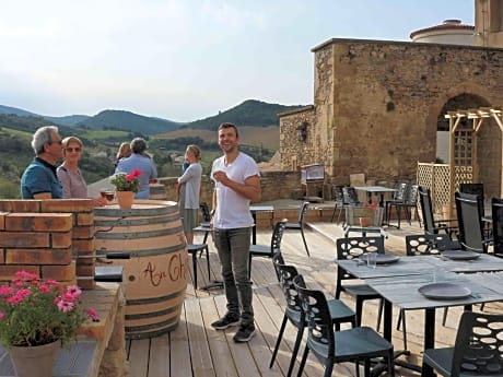 Au Château de Villelongue B&B