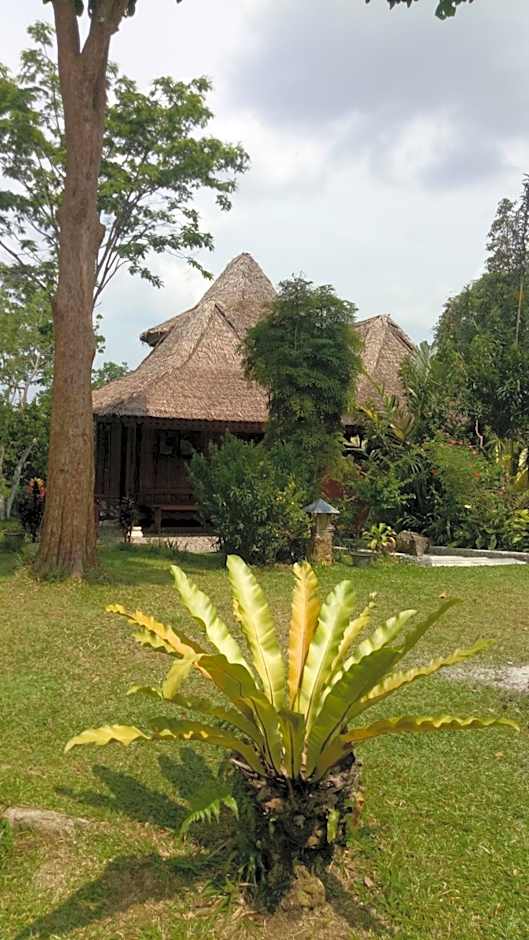 Orangutan Bungalow