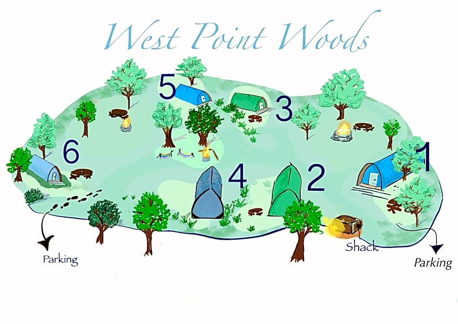 West Point Woods