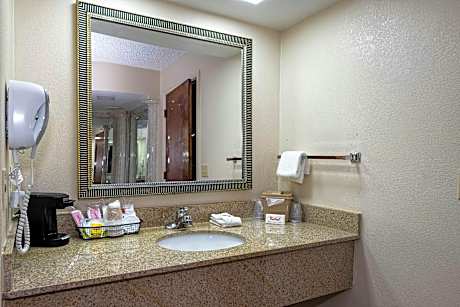 King Jacuzzi Suite Non-Smoking