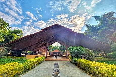 Greetoe Celebration Van Vilas