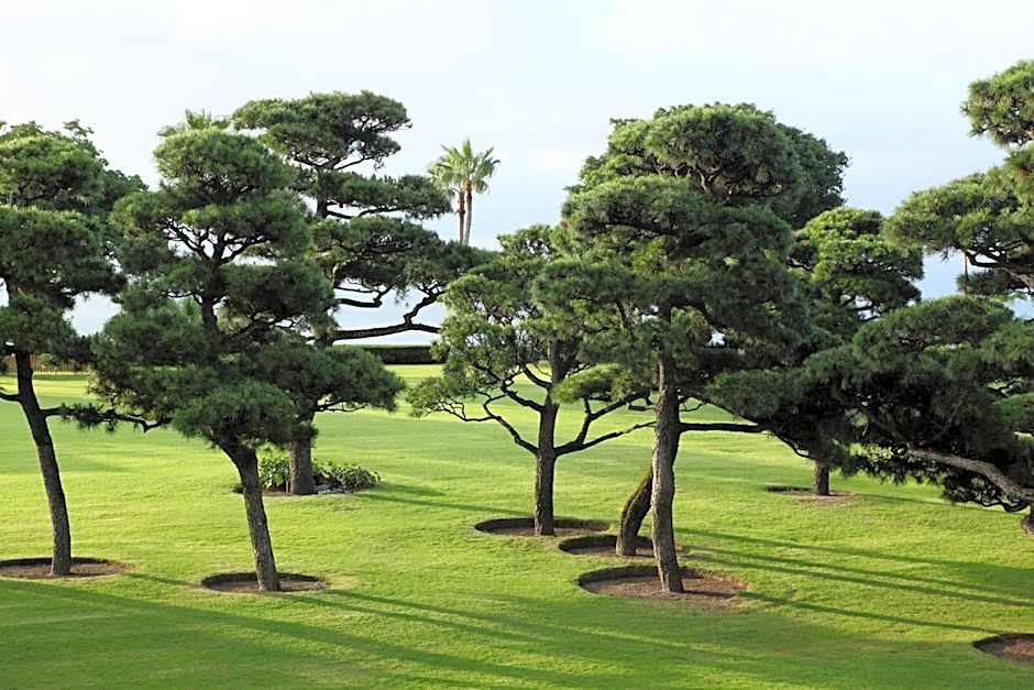 Kagoshima Sunamushionsen Ibusuki Hakusuikan