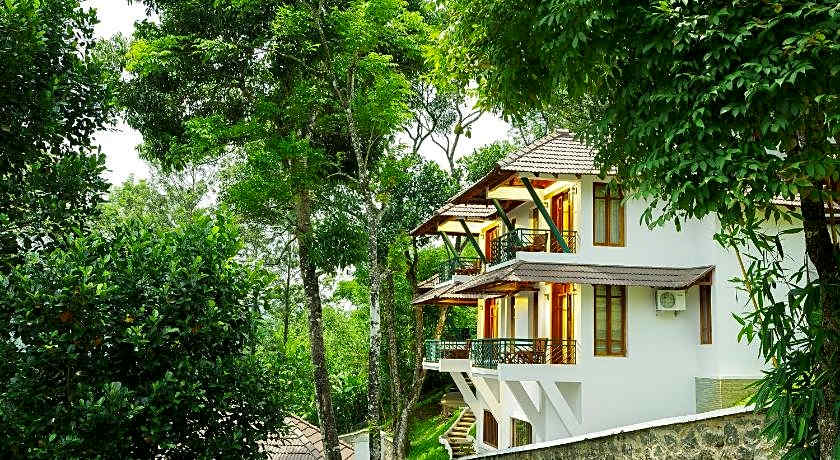Forest Canopy Resort
