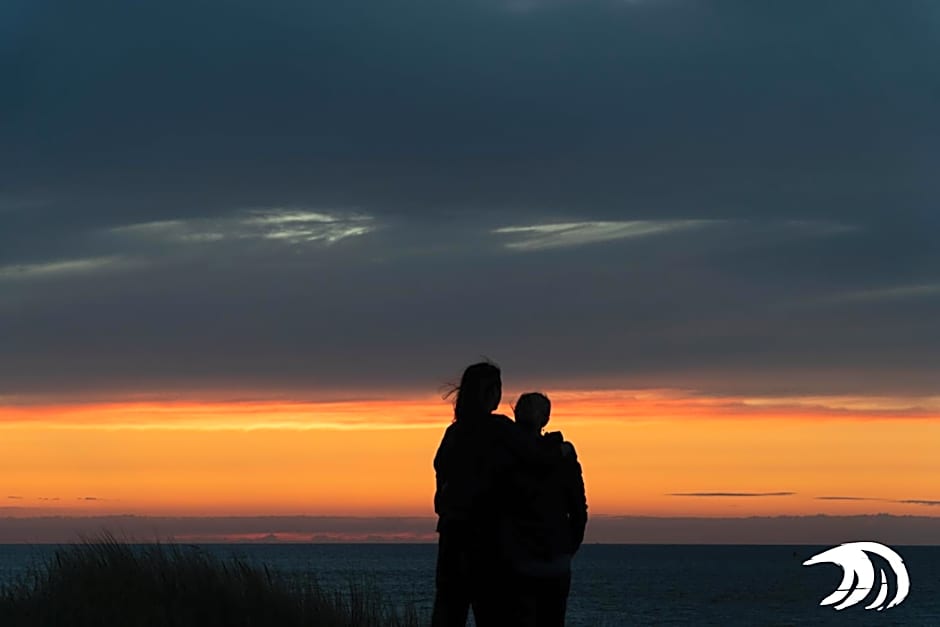 Surfana Vlieland Surf Host en Bed & Breakfast