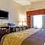 Comfort Inn & Suites Atoka