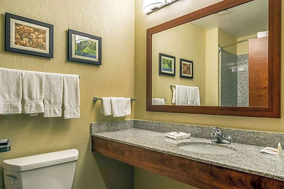 Comfort Suites Near Texas State University