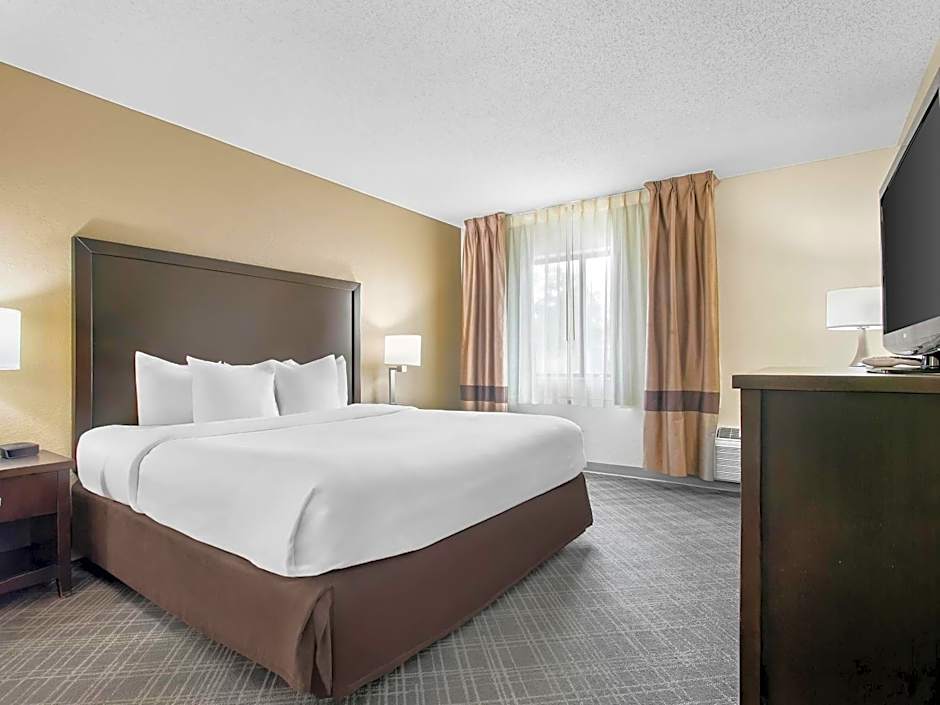 Comfort Inn Detroit Downtown