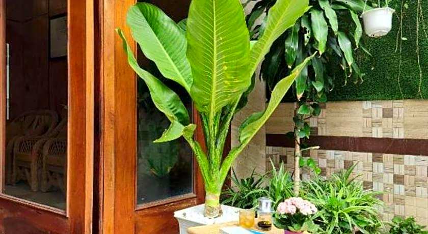 Senkotel Nha Trang Managed by NEST Group