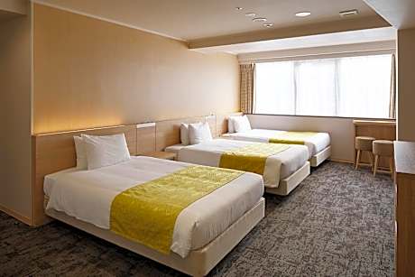 Triple Room - Non-Smoking  (5adult)
