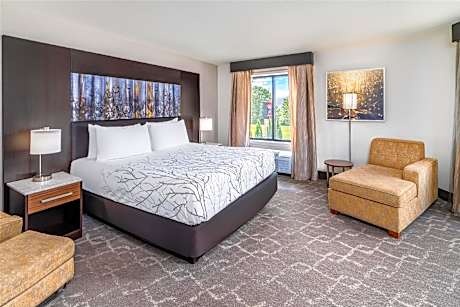 1 King Bed Non-Smoking Larger Room Sofabed Microwave Fridge