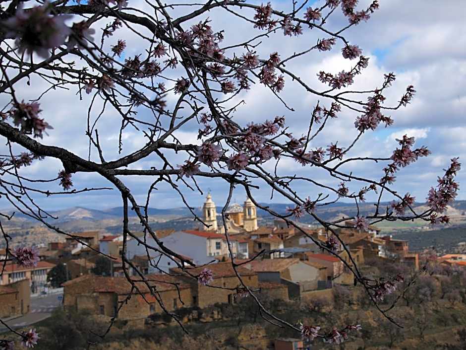 Hotel El Faixero Evolución