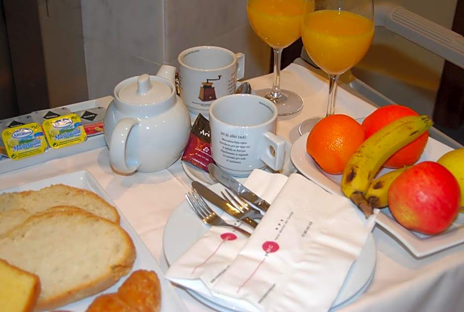 Hotel Mieres del Camino