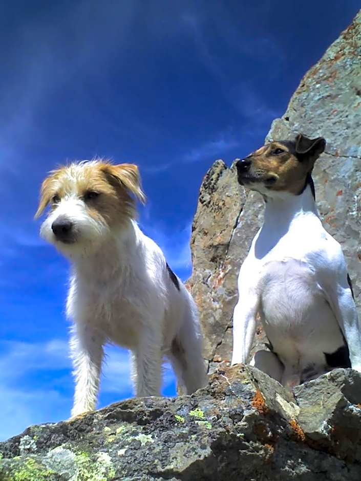 Hotel Garni Apart TINA