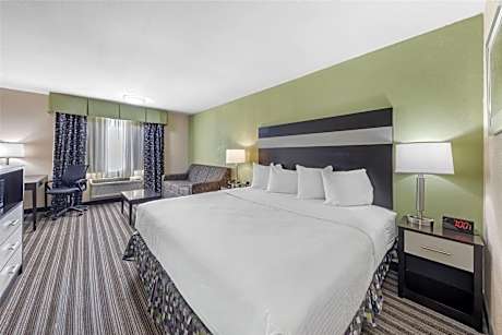 King Room - Non-Smoking