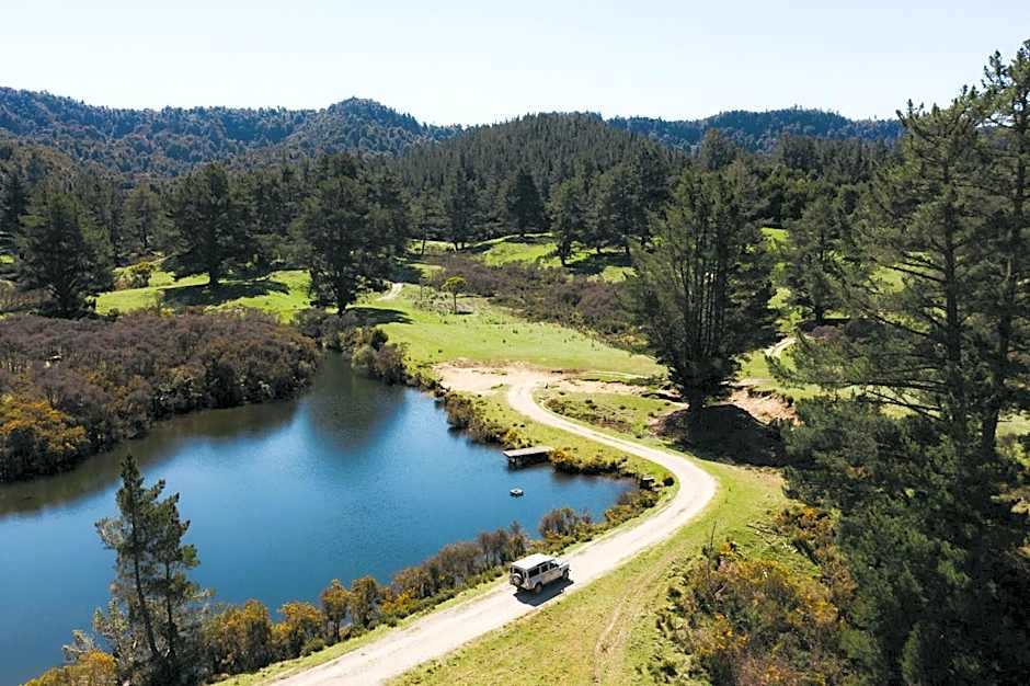 Treetops Lodge & Estate