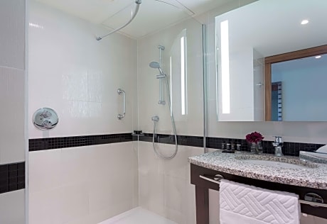 Queen Room With Sofa Bed